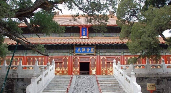 太牛啦，山東喜獲一條西北方向高速大動脈，有你故鄉(xiāng)嗎？